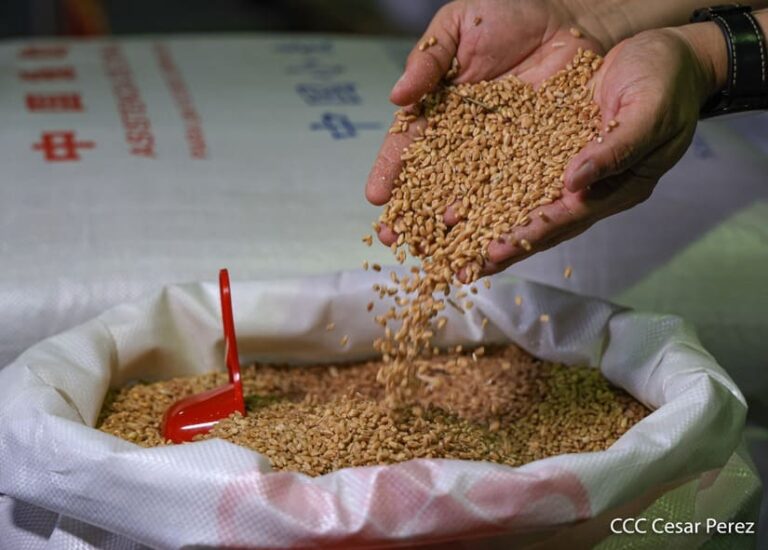 IMG_7776-768x550 (1)